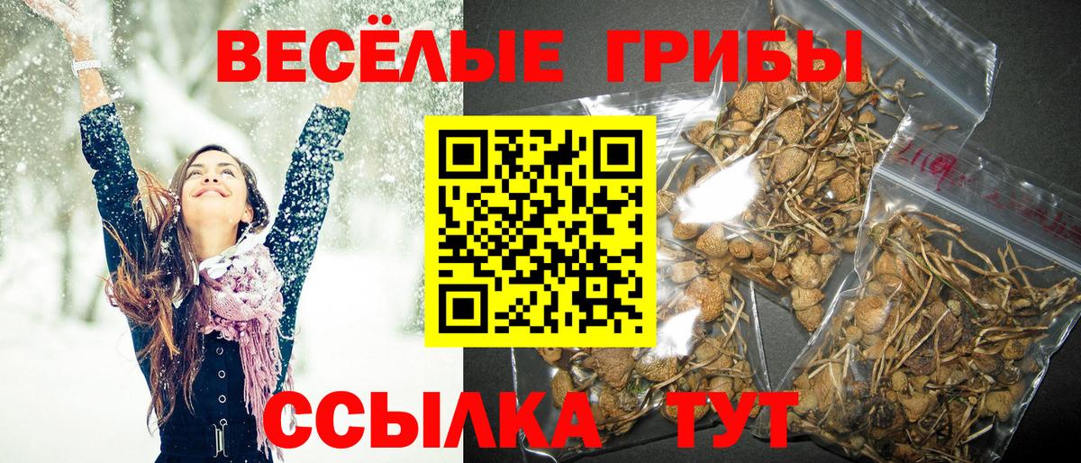 Галлюциногенные грибы GOLDEN TEACHER Конаково