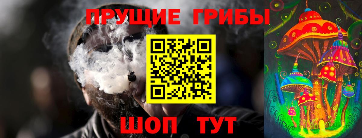 Галлюциногенные грибы Magic Shrooms  где продают наркотики  Конаково  Вход с VPN  Галлюциногенные грибы Psilocybe 